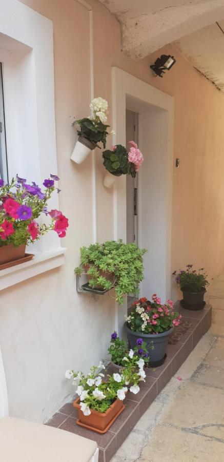 Apartment Asja Old City Center Pula Exterior foto